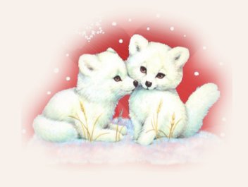 spécial saint-valentin