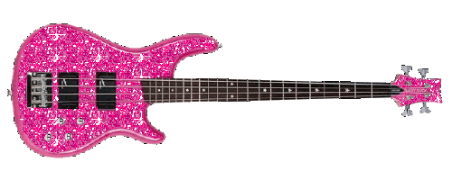 Guitare Rose