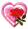 1 rose ki vien de coeur