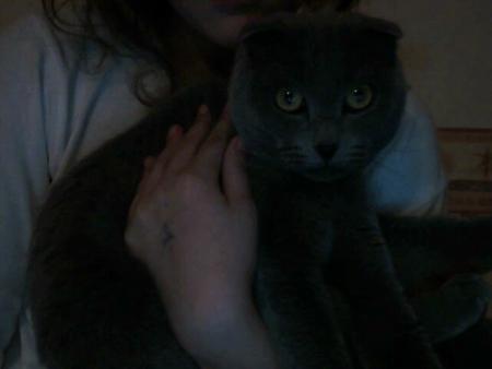 mon chat