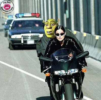 shrek 3