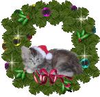 chat noël
