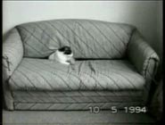 chat